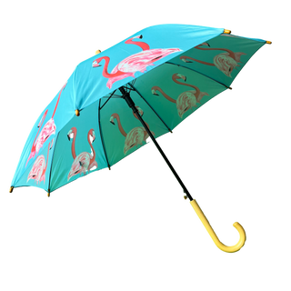 Kids Flossy & Amber Umbrella
