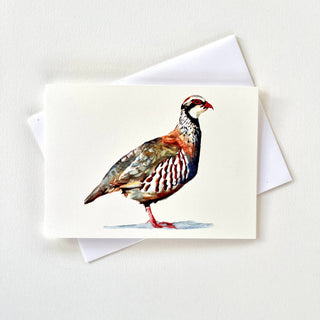 Partridge - Greeting Card