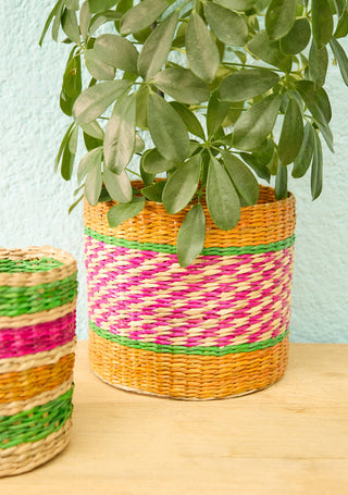 Patterned Seagrass Planter Set