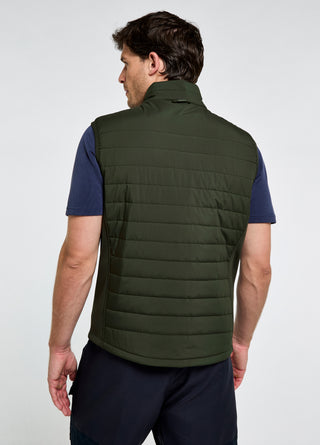 Solent in Olive