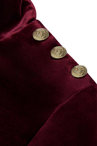 Cara Velvet Mini Dress Burgundy