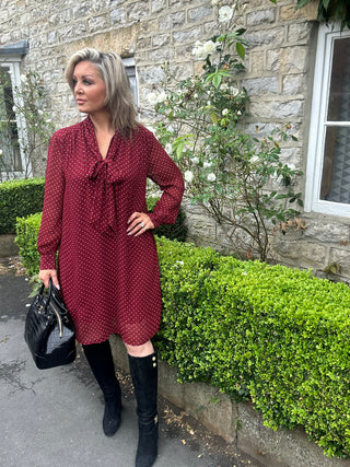 Dot Print Bow Dress in Plumped Red