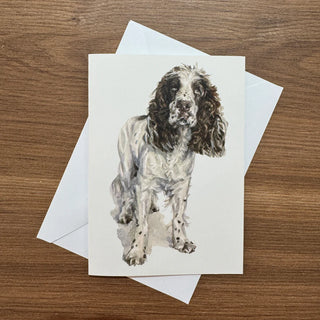 Springer Spaniel - Greeting Card