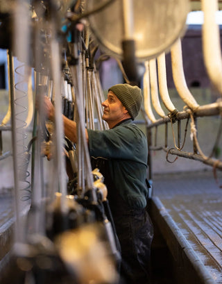 Swazi Torrent Bib Overtrousers RANGER