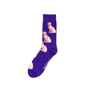 Royal Purple Labrador Socks
