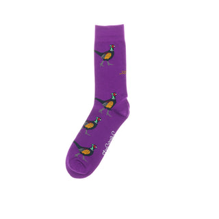 Royal Purple Pheasant Socks