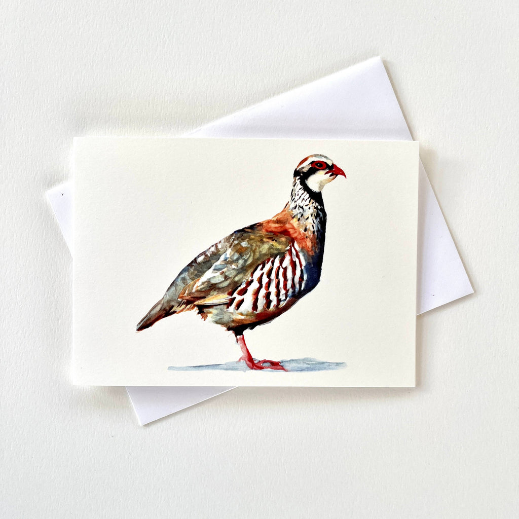 Partridge - Greeting Card – Crowberry Wood 2024 LTD